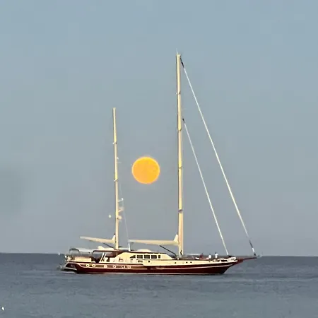 Willa Zelos Milos *