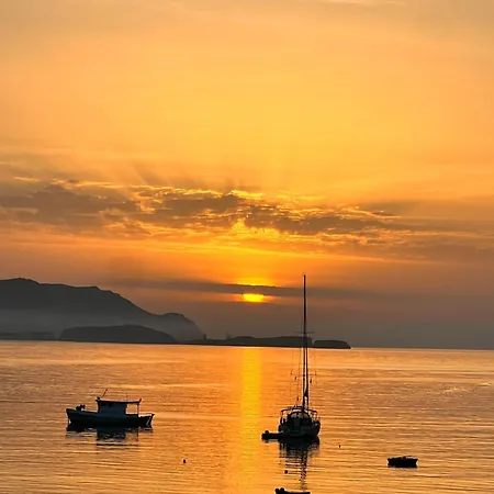 Zelos Milos Willa *